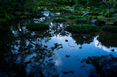 soku_04207.jpg :: 自然 風景 湖 池 湖面 反射 