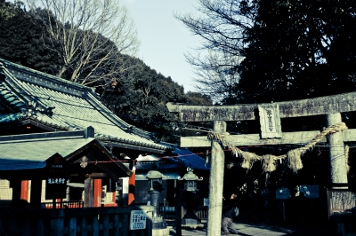 soku_04318.jpg :: 神社 鳥居 