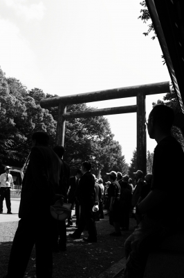 soku_04528.jpg :: 建築 建造物 神社 仏閣 寺院 鳥居 
