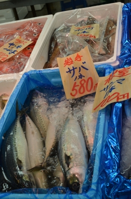 soku_04671.jpg :: 市場 動物 魚類 
