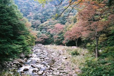 soku_05046.jpg :: 自然 風景 川 河川 山 銀塩 フィルム 