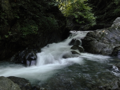 soku_05130.jpg :: PowerShotS95 自然 風景 川 河川 西沢渓谷 水分 
