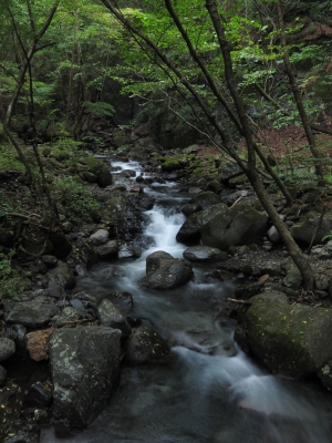 soku_05131.jpg :: PowerShotS95 自然 風景 川 河川 水分 