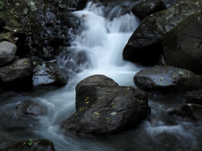soku_05132.jpg :: PowerShotS95 自然 風景 川 河川 水分 