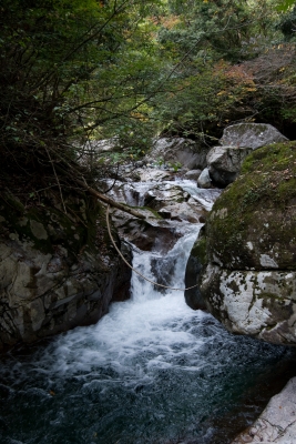 soku_05170.jpg :: 自然 風景 川 河川 水分 