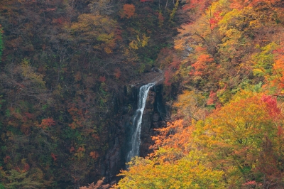 soku_05193.jpg :: 自然 風景 滝 