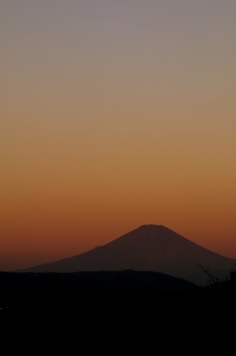 soku_05359.jpg :: 自然 風景 山 富士山 朝焼け 