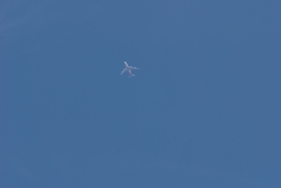 soku_05791.jpg :: 乗り物 交通 航空機 飛行機 風景 自然 空 青空 