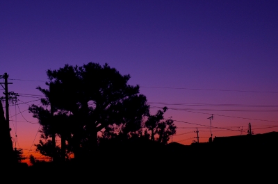 soku_06000.jpg :: 風景 自然 空 夕焼け 日没 樹木 アンテナ 