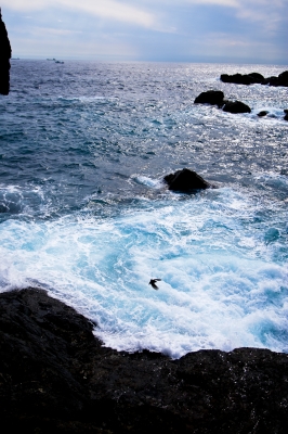 soku_06029.jpg :: 風景 自然 海 波 