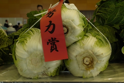 soku_06119.jpg :: 食べ物 食材 野菜 白菜 
