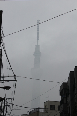 soku_06169.jpg :: 建築 建造物 塔 タワー 東京スカイツリー 霧 霞 