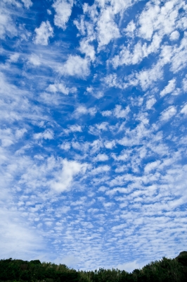 soku_06170.jpg :: 風景 自然 空 雲 