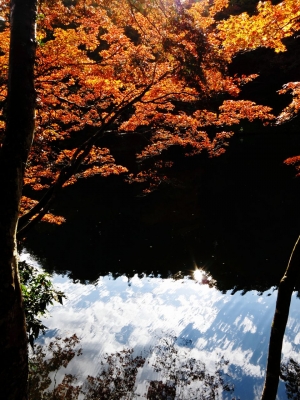 soku_06241.jpg :: PowerShotS95 風景 自然 紅葉 赤い紅葉 湖 水分 鎌北湖 