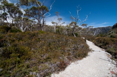soku_06264.jpg :: D5000 風景 自然 山 概観 トレッキング オーストラリア 