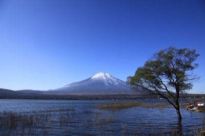 soku_06292.jpg :: 風景 自然 山 富士山 湖 青空 