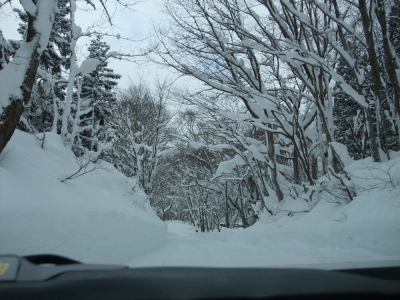 soku_06379.jpg :: 風景 自然 雪景色 