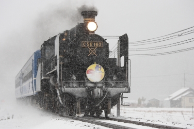 soku_06779.jpg :: 乗り物 交通 鉄道 蒸気機関車 C56160 風景 自然 雪 