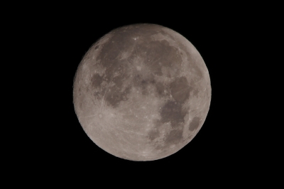 soku_07060.jpg :: 月食前日の月 