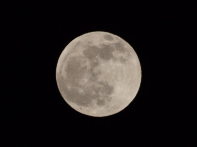 soku_07082.jpg :: 風景 自然 天体 月 満月 