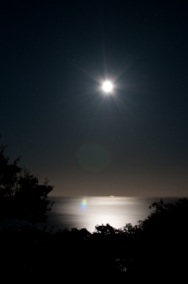 soku_07591.jpg :: 風景 自然 天体 月 満月 月光 
