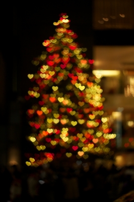soku_07640.jpg :: クリスマス クリスマスツリー リース 自作絞り 