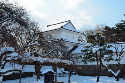 soku_08115.jpg :: 雪 建造物 鶴ヶ城 