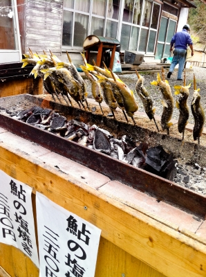 soku_08136.jpg :: 食べ物 和食 焼魚 炭火焼 鮎 あゆ 