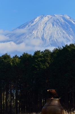 soku_08163.jpg :: 風景 自然 山 富士山 