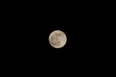 soku_08165.jpg :: 風景 自然 天体 月 満月 