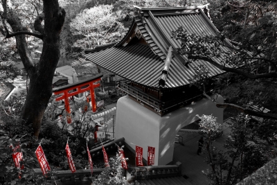 soku_08240.jpg :: 建築 建造物 街並み 神社仏閣 神社 ワンポイントカラー 江島神社 