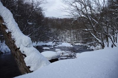 soku_08253.jpg :: 風景 自然 雪景色 