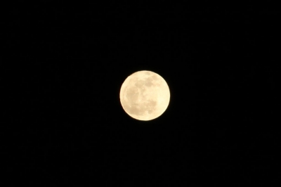 soku_08330.jpg :: 風景 自然 天体 月 満月 