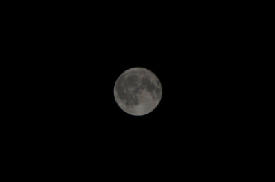 soku_08376.jpg :: 風景 自然 天体 月 満月 
