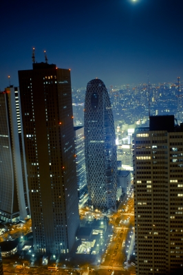 soku_08444.jpg :: 建築 建造物 高層ビル 新宿 夜景 
