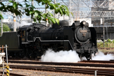 soku_08551.jpg :: 乗り物 交通 鉄道 蒸気機関車 D51200 