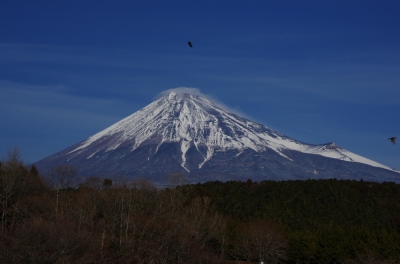 soku_08759.jpg :: 風景 自然 山 富士山 