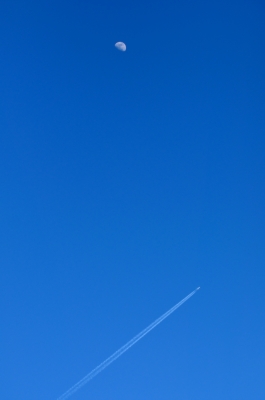 soku_08954.jpg :: 風景 自然 空 飛行機 月 空 青空 