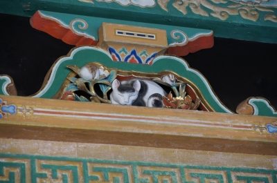 soku_09061.jpg :: 建築 建造物 寺院 彫刻 猫 ネコ 日光 