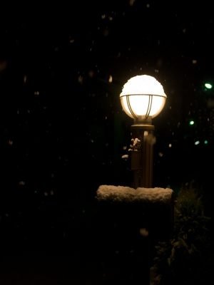 soku_09070.jpg :: 風景 自然 雪景色 東京大雪 