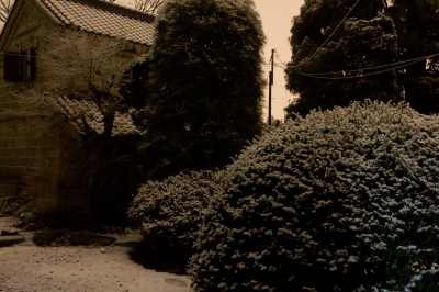 soku_09071.jpg :: 風景 自然 雪景色 東京大雪 