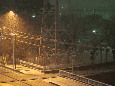 soku_09074.jpg :: 風景 自然 雪景色 東京大雪 