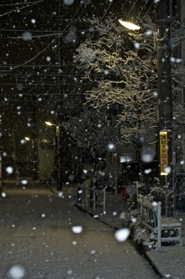 soku_09080.jpg :: 風景 街並み 雪 風景 雪景色 東京大雪 
