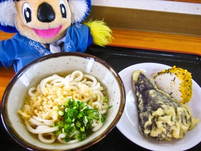soku_09096.jpg :: 食べ物 麺類 うどん 天ぷらうどん 