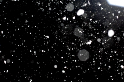 soku_09103.jpg :: 風景 自然 雪 雪の結晶 