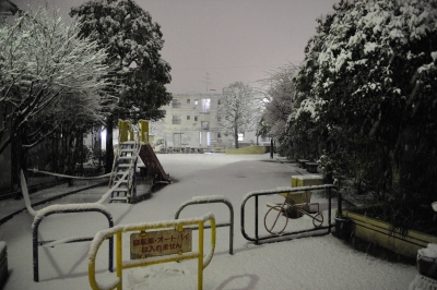 soku_09145.jpg :: 雪 手持ち撮影 風景 自然 雪景色 公園 