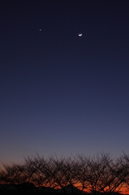 soku_09166.jpg :: 風景 自然 空 夕焼け 風景 自然 天体 月 金星 