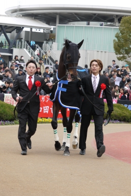 soku_09171.jpg :: 運動 スポーツ 競馬 馬 