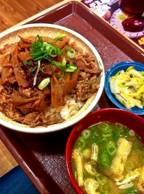 soku_09650.jpg :: 食べ物 和食 丼 牛丼 メンマトッピング 
