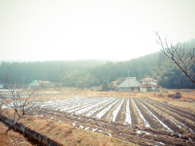 soku_09839.jpg :: 風景 自然 田畑 畑 